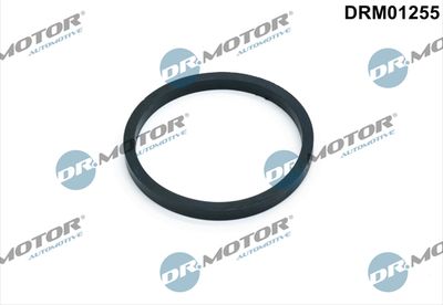 Gasket, oil cooler DRM01255