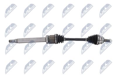 PLANETARA NTY NPWBM131 7