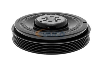 FULIE CUREA ARBORE COTIT VAICO V101492 12