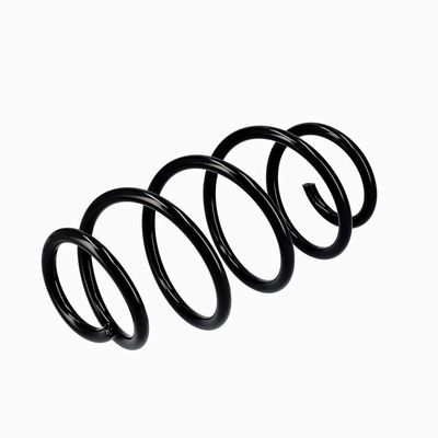ARC SPIRAL EIBACH R10302 16