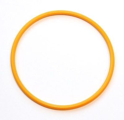 DICHTRING LADELUFTROHR