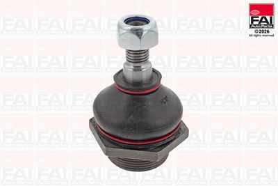 Шарнири FAI AutoParts SS170