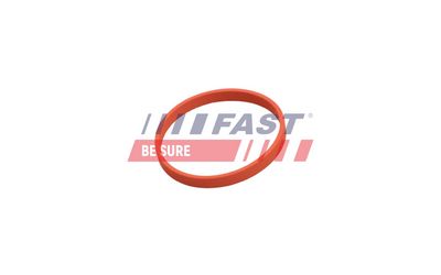 Těsnění, AGR ventil FAST FT50628