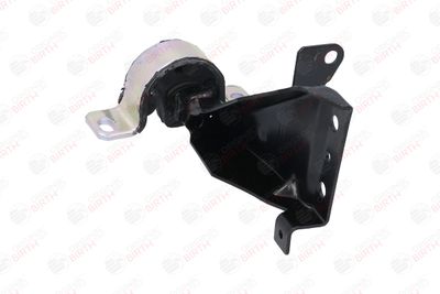 SUPORT MOTOR BIRTH 52501 9
