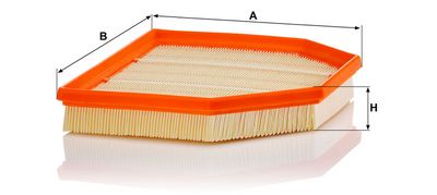 LUFTFILTER MANN-FILTER C24243 1