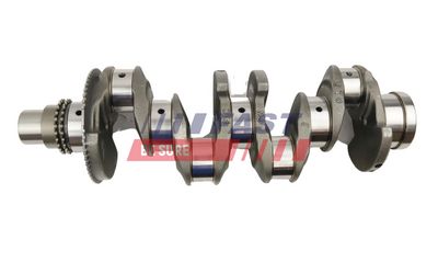 ARBORE COTIT FAST FT51705 3