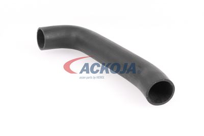 FURTUN EAR SUPRAALIMENTARE ACKOJA A379602 19