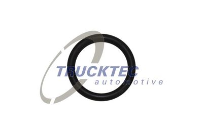 TRUCKTEC-AUTOMOTIVE 08.10.096 Масляний Щуп для BMW (Бмв)