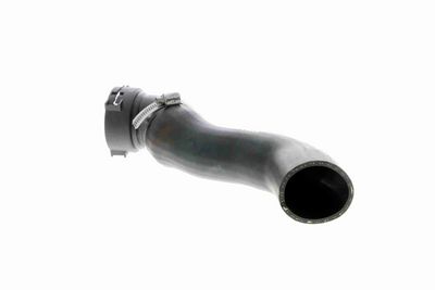 FURTUN EAR SUPRAALIMENTARE VAICO V201620 2