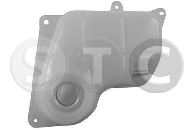 VAS DE EXPANSIUNE RACIRE