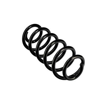 ARC SPIRAL EIBACH R10711 23