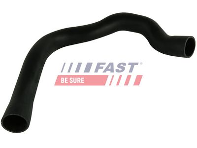 FURTUN EAR SUPRAALIMENTARE