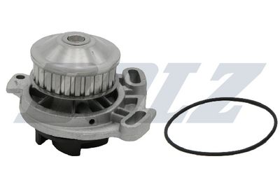 POMPă DE APă RăCIRE MOTOR