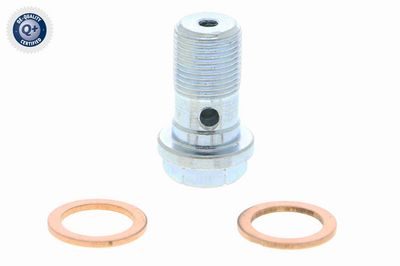 CONDUCTE FRANA VAICO V101904 1