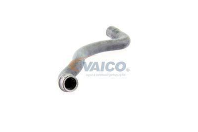 KüHLERSCHLAUCH VAICO V301655 50