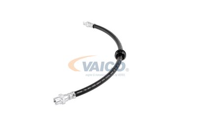 FURTUN FRANA VAICO V204103 15