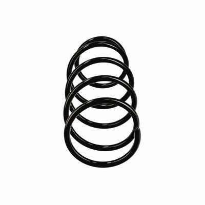 ARC SPIRAL EIBACH R11070 1
