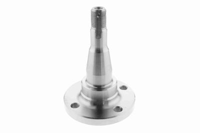 BUTUC ROATA CORP AXA VAICO V400793 2