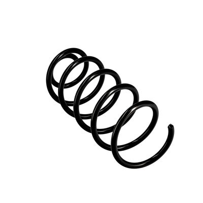 ARC SPIRAL EIBACH R10037 23