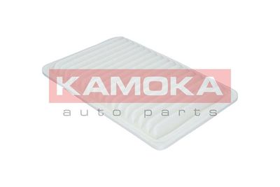 Air Filter F211801