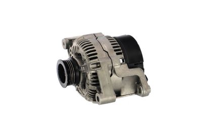 GENERATOR / ALTERNATOR REMANTE 011003000220R 11