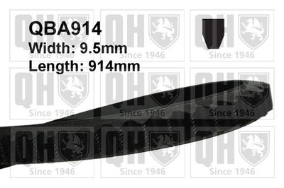 Клиновой ремень QUINTON HAZELL QBA914 для FIAT 1500