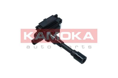 Ignition Coil 7120045
