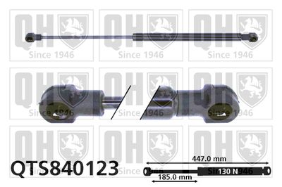 Газовая пружина, заднее стекло QUINTON HAZELL QTS840123 для RENAULT ESPACE