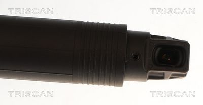 Plynárenská vzpera (pneumatická pružina), zavazadlový priestor TRISCAN 8710 43318
