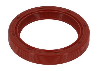 WELLENDICHTRING KURBELWELLE