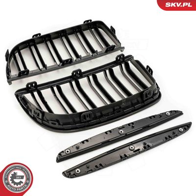 GRILA RADIATOR ESEN SKV 66SKV091 3