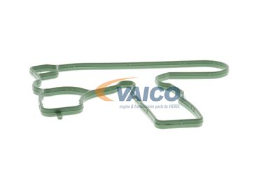 DICHTUNG KURBELGEHäUSEENTLüFTUNG VAICO V103884 58