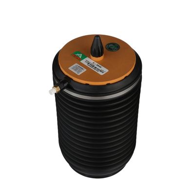 LUFTFEDER FAHRWERK Arnott A3945 55