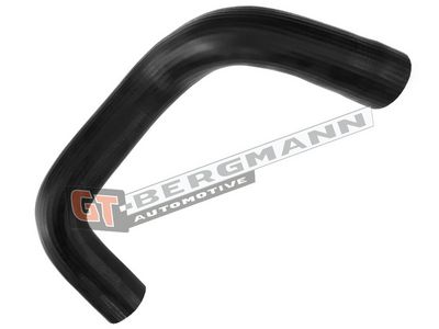 GT-BERGMANN Automotive Kompresoriaus padavimo žarna