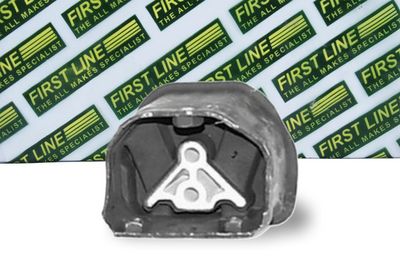 окачване, двигател FIRST LINE FEM3021