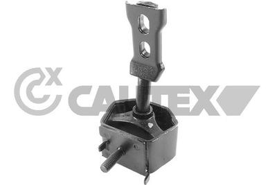 CAUTEX 759701