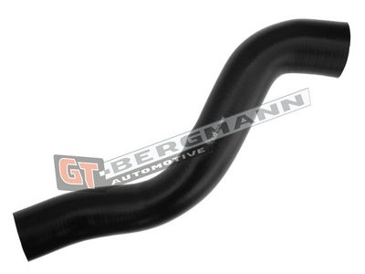 GT-BERGMANN Automotive Kompresoriaus padavimo žarna