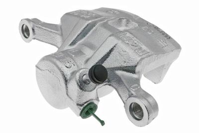 Jarrusatula LAUBER 77.1142
