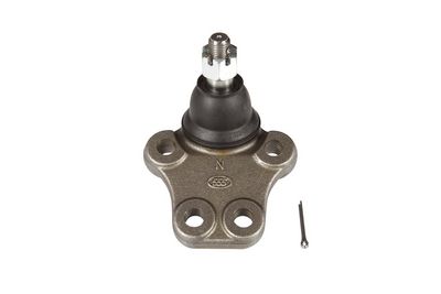 ARTICULATIE SARCINA/GHIDARE