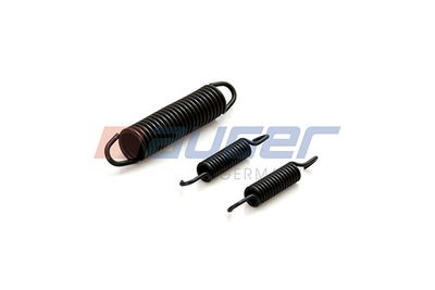 Brake shoe spring past: SETRA
