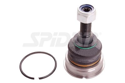 ARTICULATIE SARCINA/GHIDARE