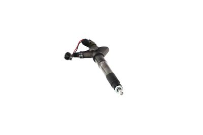 INJECTOR REMANTE 002003001324R 51