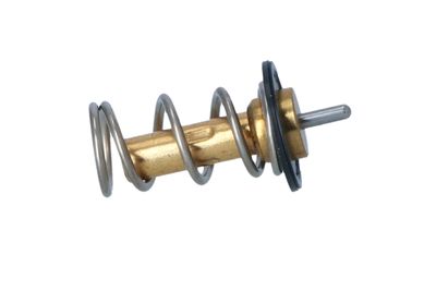 TERMOSTAT LICHID RACIRE NRF 725069 24