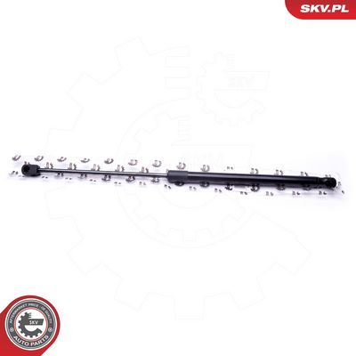 Dujinė spyruoklė, gaubtas