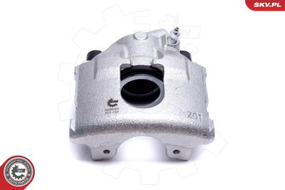 Brake Caliper 56SKV261