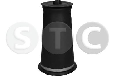 LUFTFEDER FAHRWERK STC T442980 3