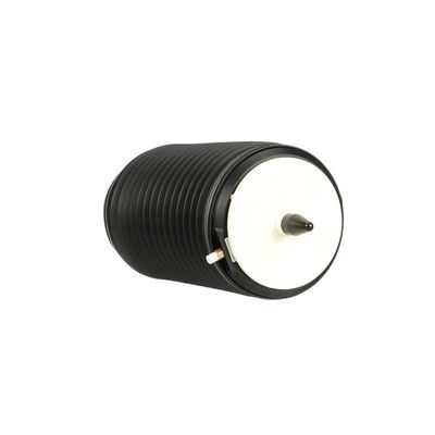 ARC PNEUMATIC DIRECTIE Arnott A3294 8