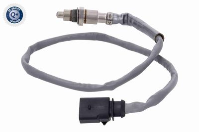 SONDA LAMBDA VEMO V10760163 6
