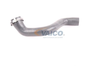 FURTUN EAR SUPRAALIMENTARE VAICO V460823 33