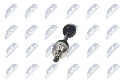 PLANETARA NTY NPWPL174 36